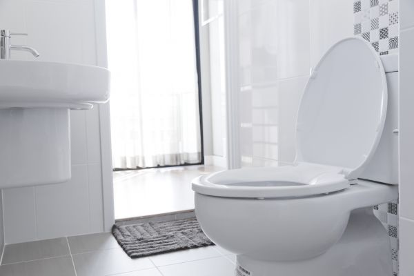 Cost of Toilet Relocation in Lees Summit